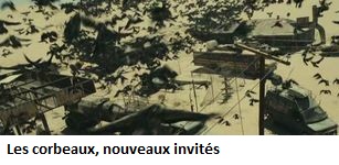 photo d'illustration pour l'article goodie:Resident Evil Extinction